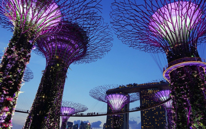 Supertrees in Garden by the Bay - Singapore - Photo: photo Pixabay Supertrees in Garden by the Bay - Singapore - Photo: photo Pixabay