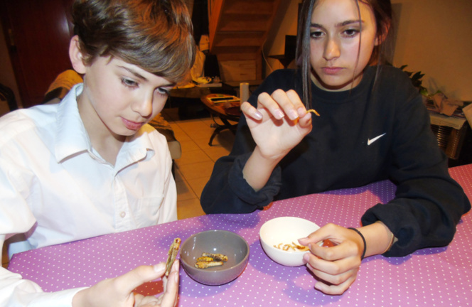 Des insectes au petit déjeuner, c'est possible Des insectes au petit déjeuner, c'est possible