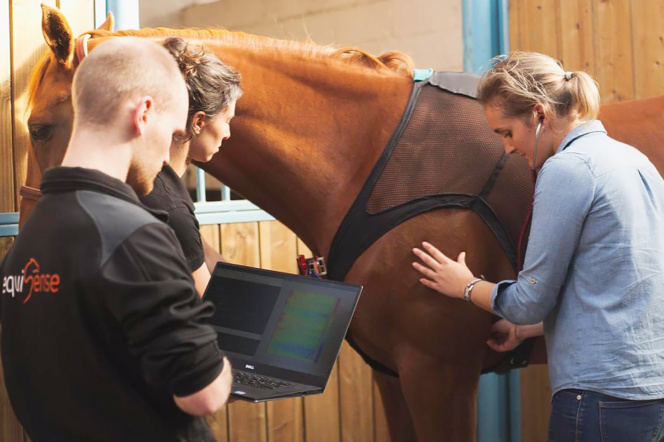 Un salon équestre à cheval sur le numérique