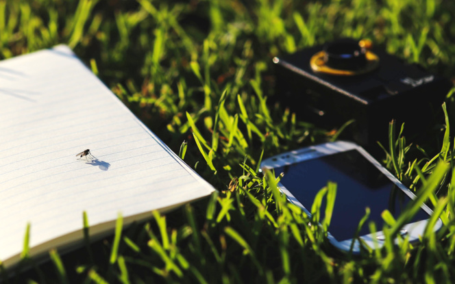 Ecologie et numérique deux transitions qui doivent avancer de concert (photo Pixabay) Ecologie et numérique deux transitions qui doivent avancer de concert (photo Pixabay)