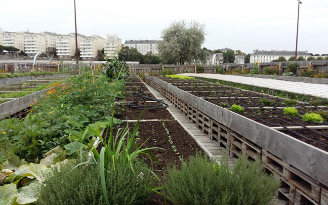 Le Potager de la Cantine à Nantes (Photo Zone Ah!)