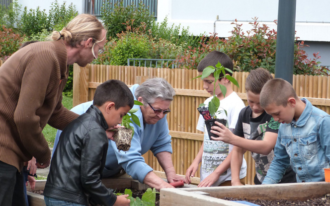 Les jardins partagés en pieds d’immeubles, une initiative du bailleur social Immobilière Podeliha à Angers (49), utilisateur de Smiile. (Photo Podeliha - Solivert)