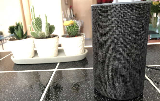 l'Amazon Echo entre désormais dans les foyers français en répondant à de nombreux cas d'usage.