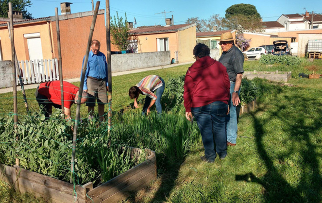 Avec les Incroyables Comestibles, les petits jardins s'installent partout à Albi (Photo Facebook IC Albi)