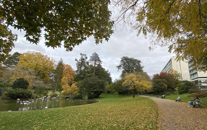 Le jardin des plantes d'Angers, un poumon vert au coeur de la ville Le jardin des plantes d'Angers, un poumon vert au coeur de la ville