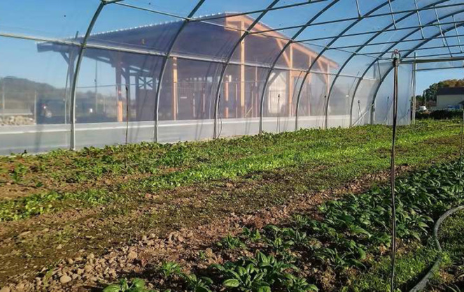 Pau Pays de Béarn innove dans l’agriculture nourricière locale