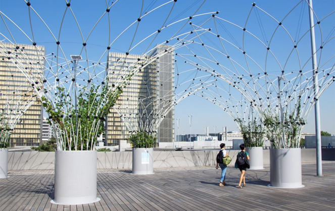 La startup française Urban Canopee a été sélectionnée parmi les 20 start-ups prometteuses du programme French Tech for the Planet du Ministère de la Transition écologique et du secrétariat d'État chargé du Numérique (photo Urban Canopee) La startup française Urban Canopee a été sélectionnée parmi les 20 start-ups prometteuses du programme French Tech for the Planet du Ministère de la Transition écologique et du secrétariat d'État chargé du Numérique (photo Urban Canopee)