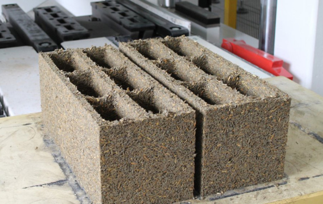 Blocs de béton de Miscanthus (photo Info ciments) Blocs de béton de Miscanthus (photo Info ciments)