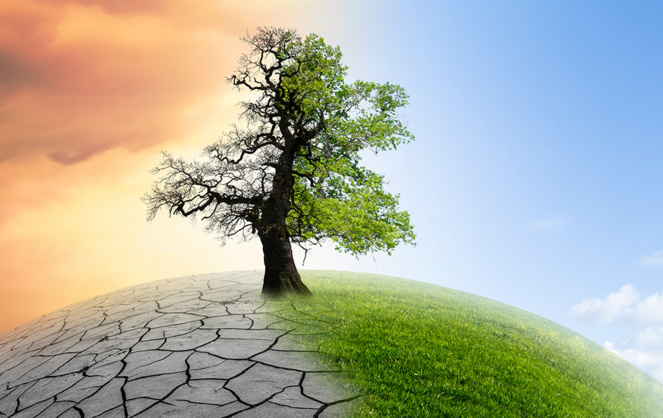 Il est encore temps de s'y mettre... (photo Adobe Stock) Il est encore temps de s'y mettre... (photo Adobe Stock)