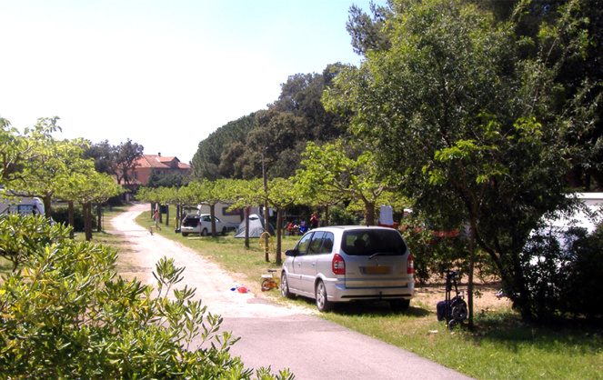 Le terrain de camping de Borm-les-Mimosas (Var) (Photo GCU) Le terrain de camping de Borm-les-Mimosas (Var) (Photo GCU)