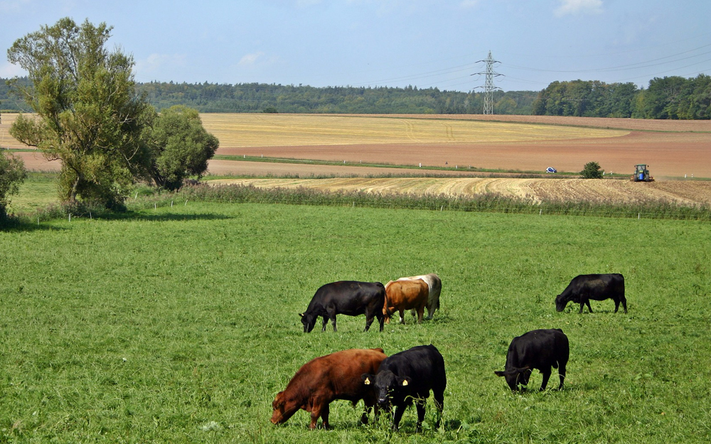 G5-T une plateforme de financement solidaire pour le monde rural