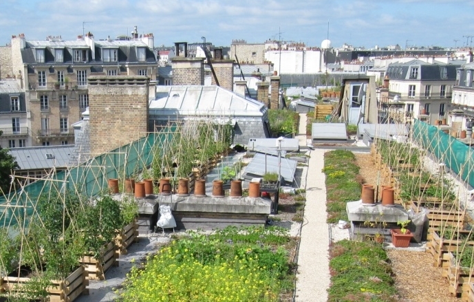 Agriculture urbaine - photo INRA