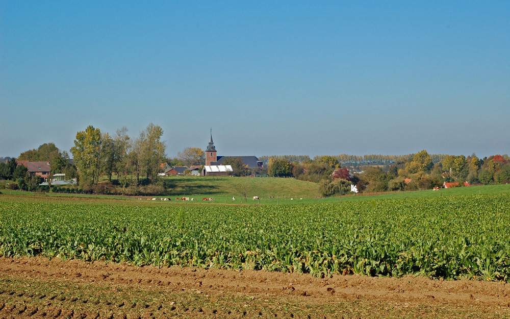 Le numérique, la transition écologique et les actions collectives et citoyennes doivent aussi toucher les villages ruraux (photo Ruralité Univ Liège) Le numérique, la transition écologique et les actions collectives et citoyennes doivent aussi toucher les villages ruraux (photo Ruralité Univ Liège)