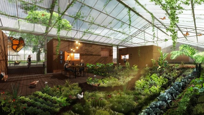 Une Cité dédiée à l’agriculture urbaine va ouvrir ses portes à Marseille Une Cité dédiée à l’agriculture urbaine va ouvrir ses portes à Marseille