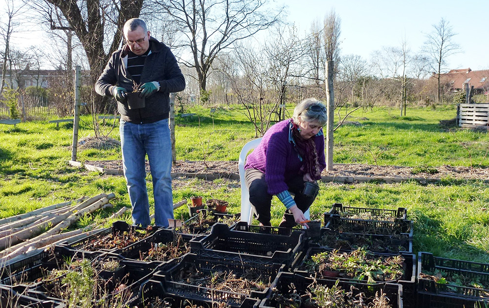 Des habitants de Grande-Synthe préparant des plantation dans " la Forêt qui se mange" (photo Facebook association La Forêt qui se mange)