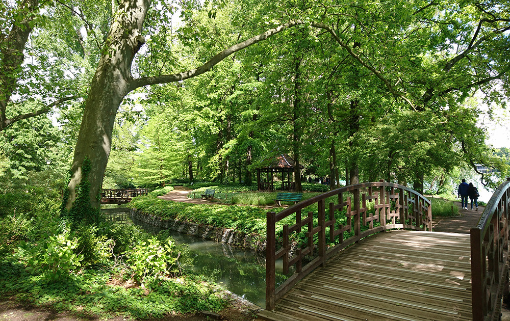 Le parc de la Tête d'Or, un havre de paix au coeur de Lyon (photo Adobe Stock)