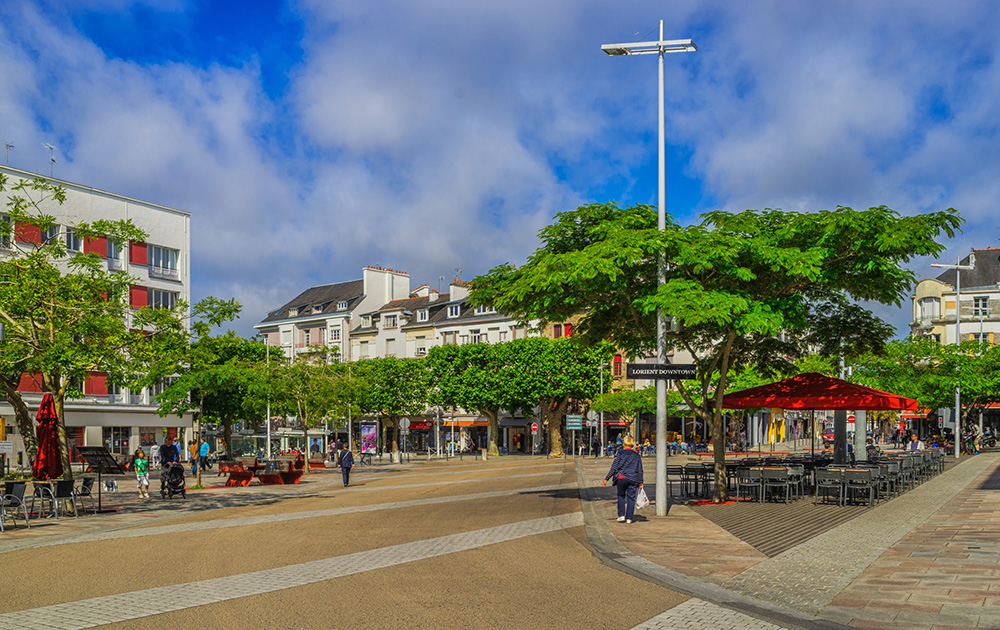 Véritables pompes à carbone et climatiseurs naturels, les arbres réinvestissent progressivement les centres-villes. (Photo Adobe Stock)