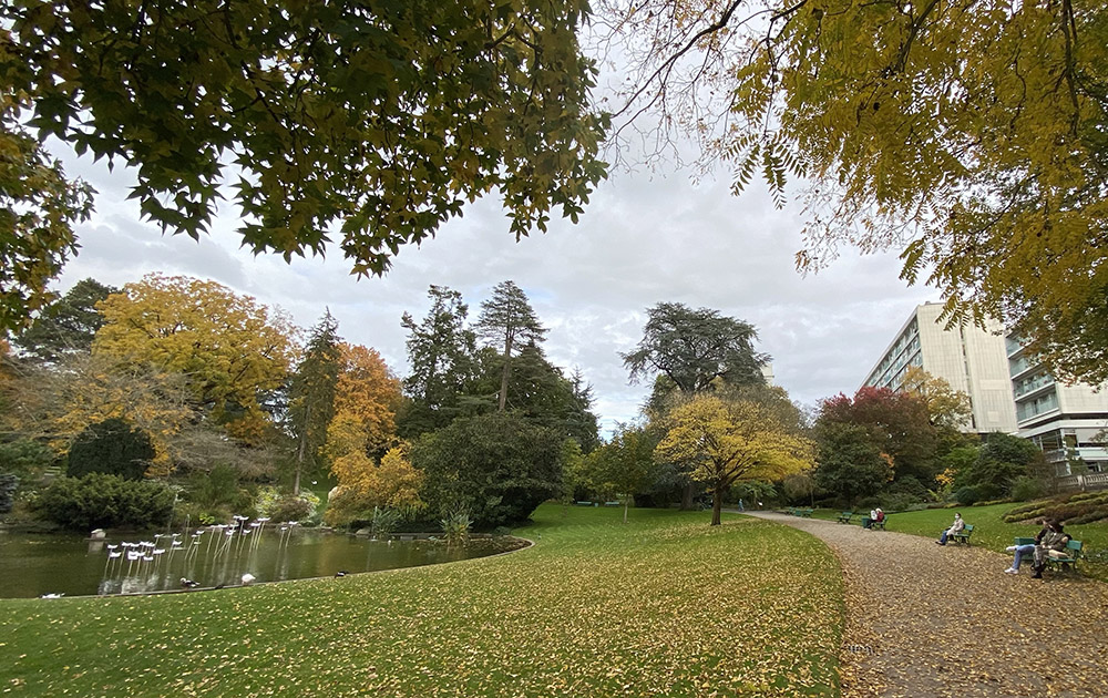 Le jardin des plantes d'Angers, un poumon vert au coeur de la ville Le jardin des plantes d'Angers, un poumon vert au coeur de la ville