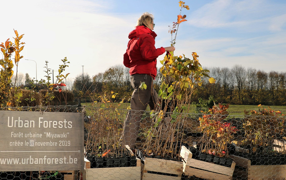 Urban Forest intervient auprès des collectivités et association pour les conseiller dans la création de leurs microforêts (Photo Urban Forest)