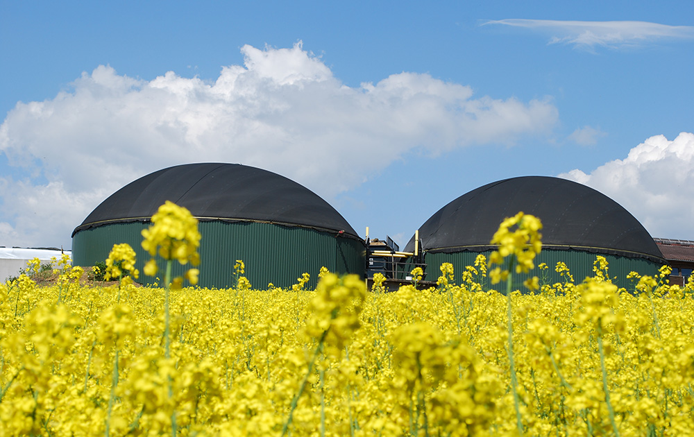 Unité de méthanisation dans une ferme française (photo d'archive Adobe Stock)