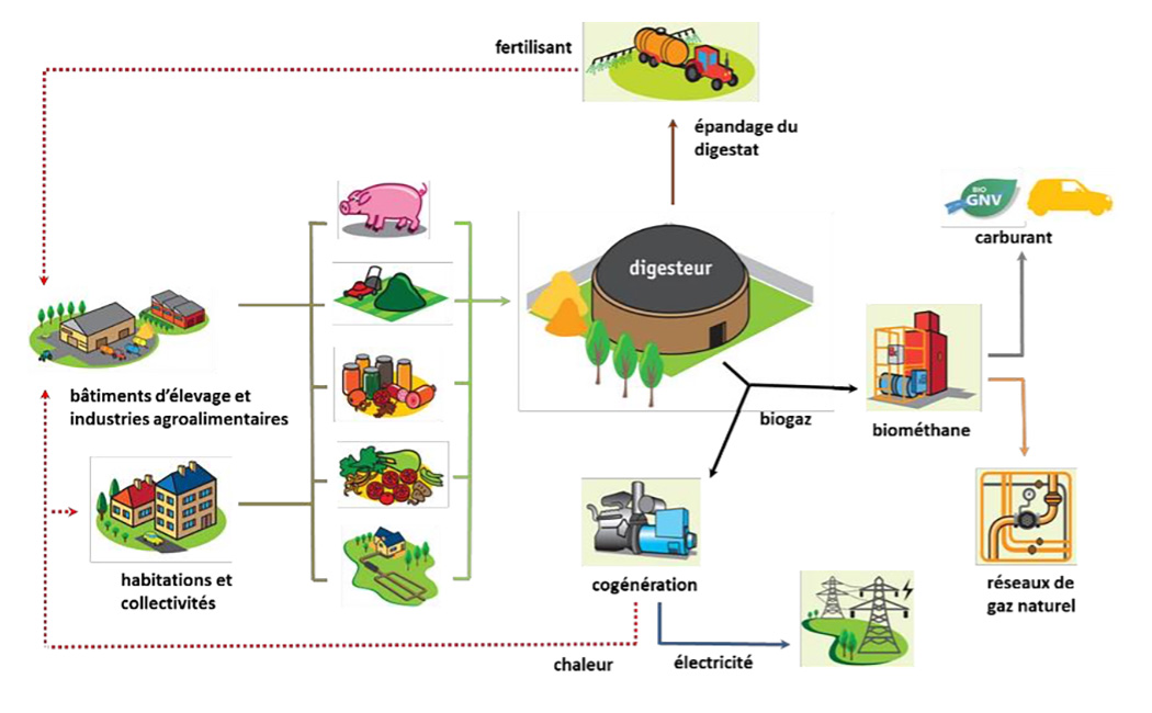 Le principe de la méthanisation (Source : APCA)