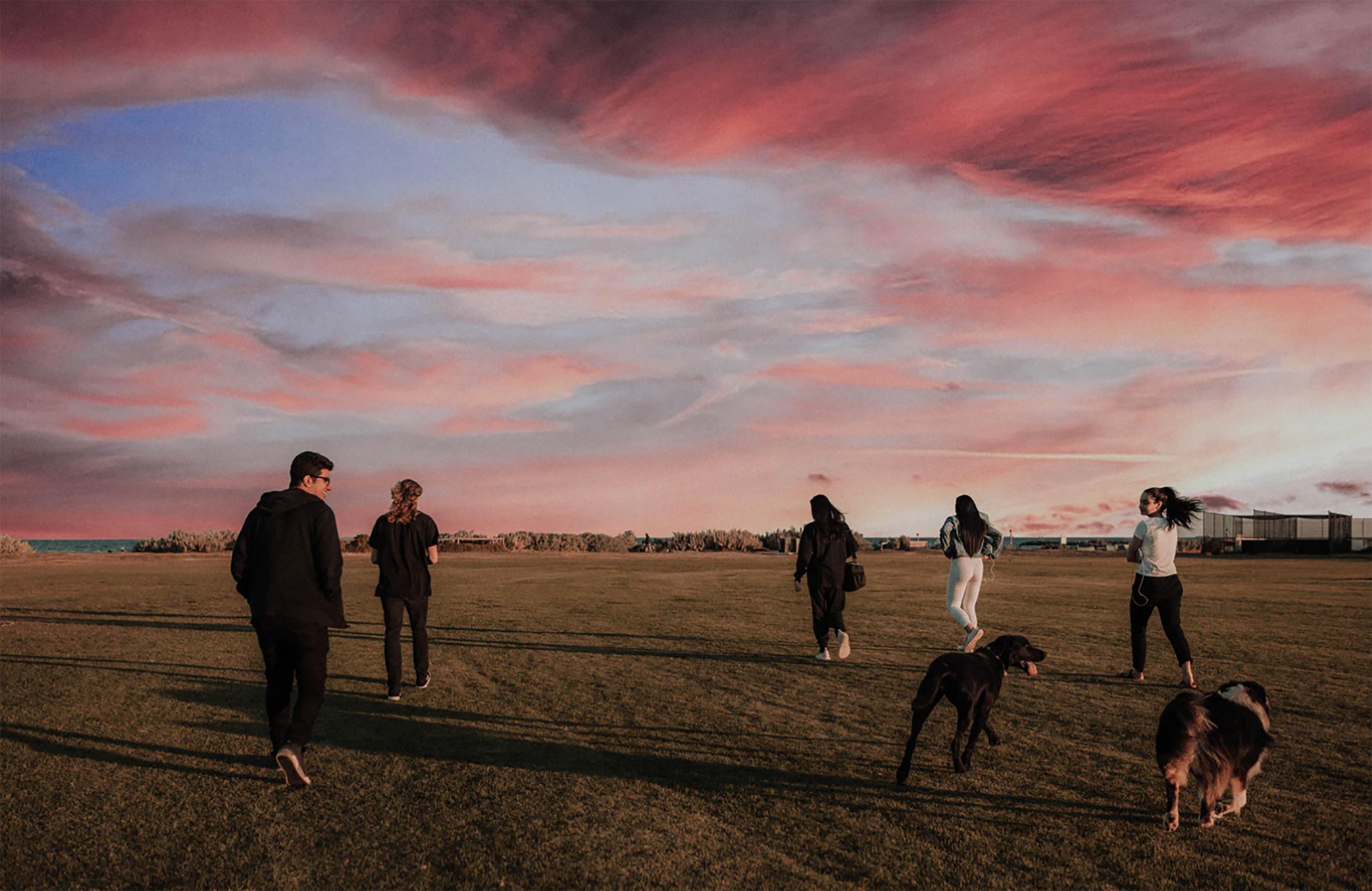 Une conscience écologique est omniprésente chez les sondés de 18/25 ans (source : Pixabay) Une conscience écologique est omniprésente chez les sondés de 18/25 ans (source : Pixabay)