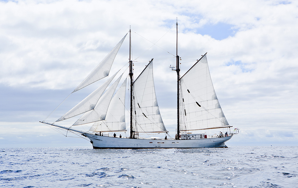 L'Avontuur lors de l'une de ses traversées transatlantiques (photo Paul Bentzen TOWT)