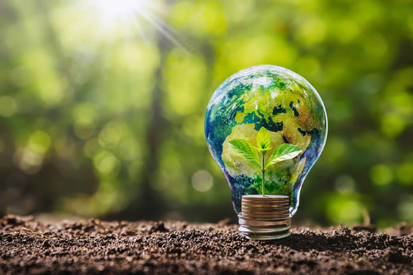 Vers une maîtrise du dictionnaire de l’environnement ! Vers une maîtrise du dictionnaire de l’environnement !