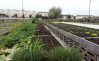 L'agriculture urbaine redessine la ville du futur à Angers