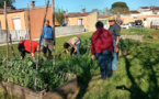 Albi vise l’autosuffisance alimentaire, lentement, mais surement