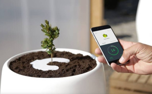 Bios Incube, une urne funéraire connectée qui vous transformera en arbre Bios Incube, une urne funéraire connectée qui vous transformera en arbre