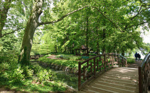 Paysalia : L’importance du végétal, des jardins et des espaces verts en cœur de ville Paysalia : L’importance du végétal, des jardins et des espaces verts en cœur de ville