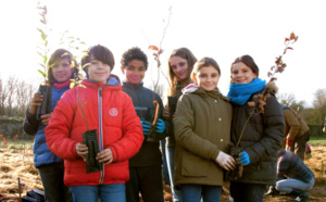 MiniBigForest ou comment renaturer la ville et ses habitants MiniBigForest ou comment renaturer la ville et ses habitants