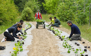 Un potager géant et solidaire s’installe à Nantes