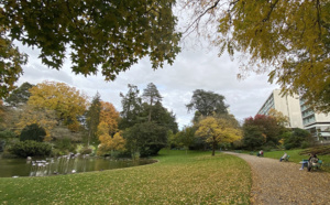 Angers, Nantes, Metz, ces villes vertes où il fait bon vivre Angers, Nantes, Metz, ces villes vertes où il fait bon vivre
