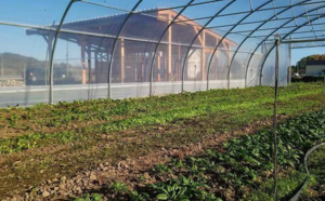 Pau Pays de Béarn innove dans l’agriculture nourricière locale Pau Pays de Béarn innove dans l’agriculture nourricière locale