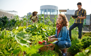 Un jardin itinérant pour créer du lien social à Villeneuve-Saint-Georges Un jardin itinérant pour créer du lien social à Villeneuve-Saint-Georges