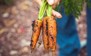 Gaspillage alimentaire : Hors Normes mise sur les légumes moches