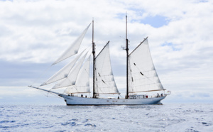 Transports maritimes : une compagnie bretonne achemine le café colombien à la voile