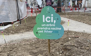 Pour lutter contre le réchauffement climatique, la forêt réinvestit la ville Pour lutter contre le réchauffement climatique, la forêt réinvestit la ville